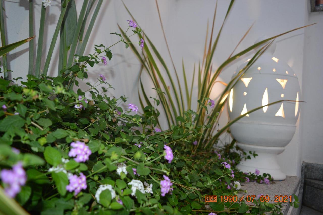 Bed And Breakfast Villa Tota Катандзаро Экстерьер фото